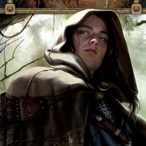 The Lord of the Rings: The Card Game - Road to Rivendell
